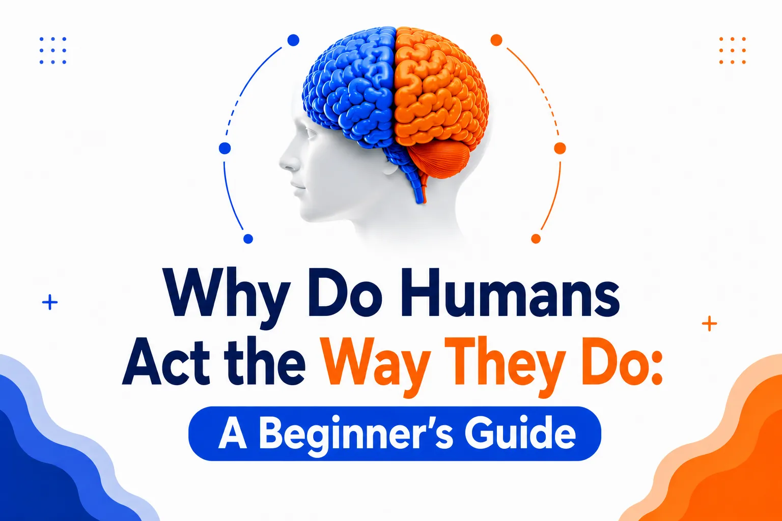 Why-Do-Humans-Act-the-Way-They-Do.webp